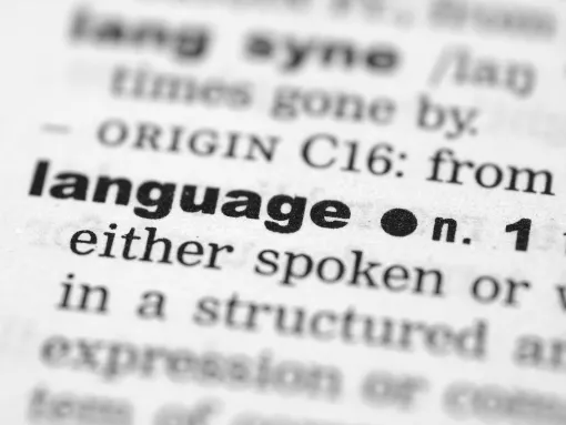 Definition of Language image