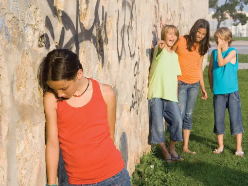 Schoolyard Bullies