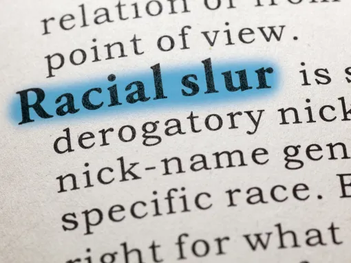 Definition of Racial Slur Highlighted