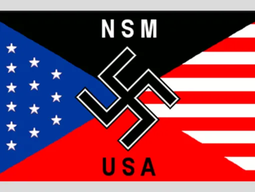 NSM logo