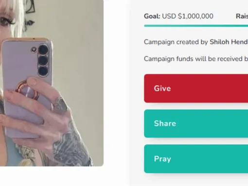 A screengrab of the fundraising campaign on GiveSendGo for Hendrix.