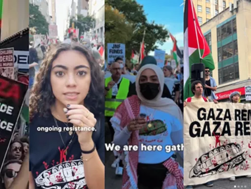 Palestinian Youth Movement - Primary Image
