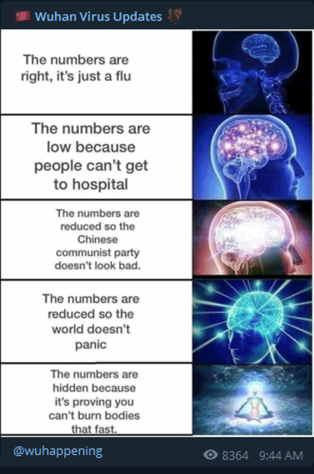 Wuhan Virus 