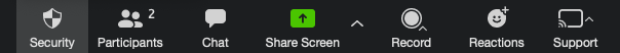 security zoom