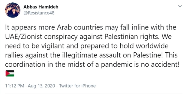 anti-israel