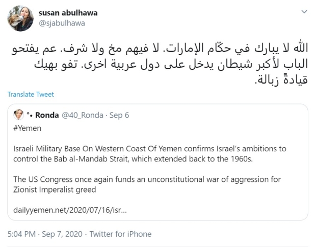 anti-israel