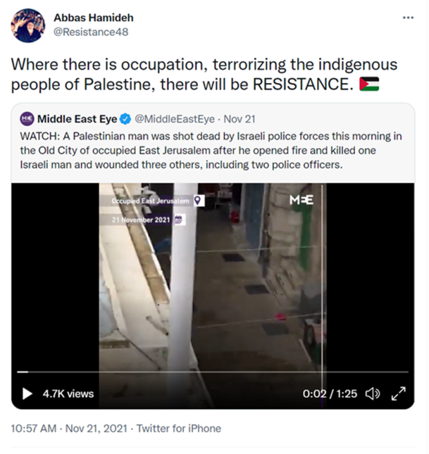 anti Israel Activists