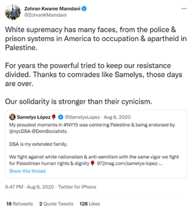Some 2022 Left-Wing Candidates Espouse Troubling Rhetoric on Israel 