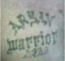 Aryan Warriors