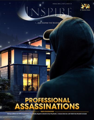 Inspire 15 cover image