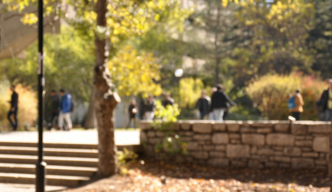 ADL's Campus Antisemitism Report Card
